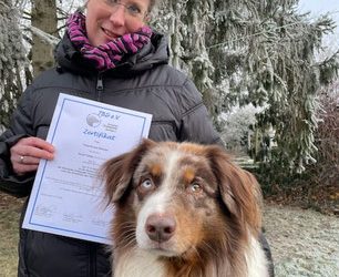 Therapie mit Timba und Balu